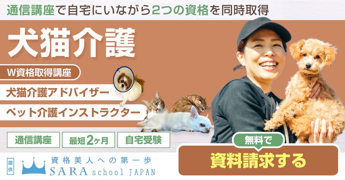 動物介護資格を取得できる通信講座